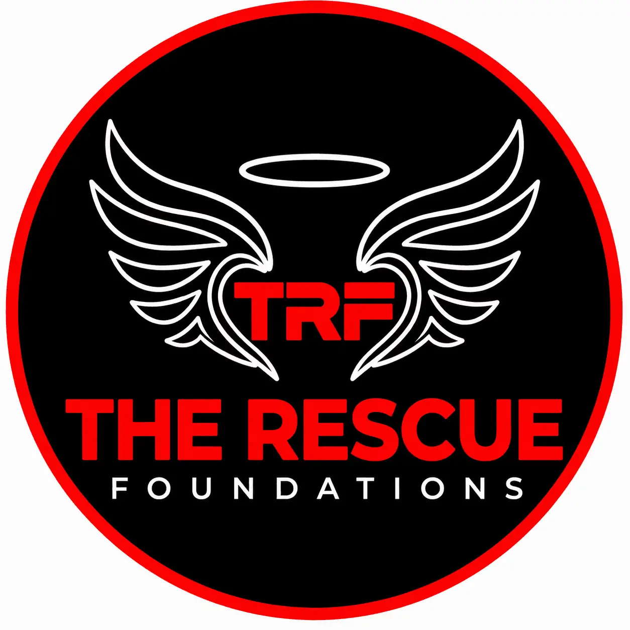 The Rescue Foundations 1956 Cessna 172 Resto-Mod Airplane